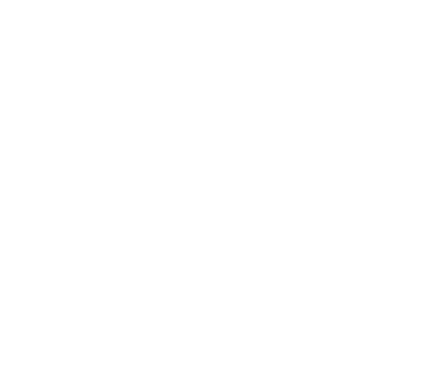 Texas Presbyterian Foundation logo